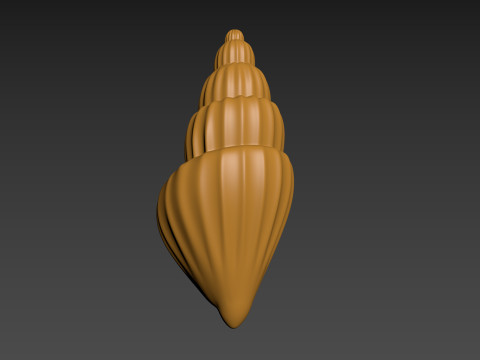 Seashell Clam Shell Modello di stampa 3D