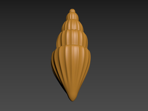 Seashell Clam Shell Modello di stampa 3D