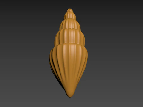 Seashell Clam Shell 3D Print Model