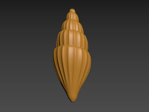 Seashell Clam Shell 3D Print Model