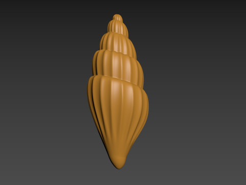 Seashell Clam Shell Modello di stampa 3D