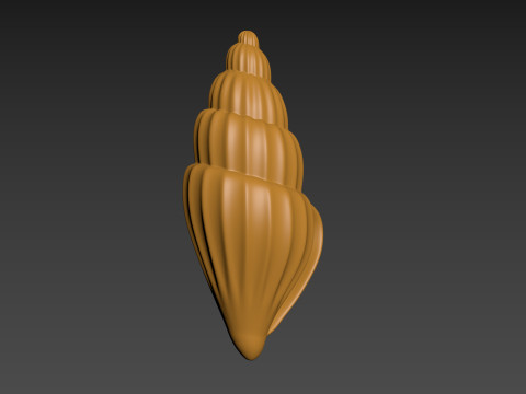 Seashell Clam Shell Modello di stampa 3D