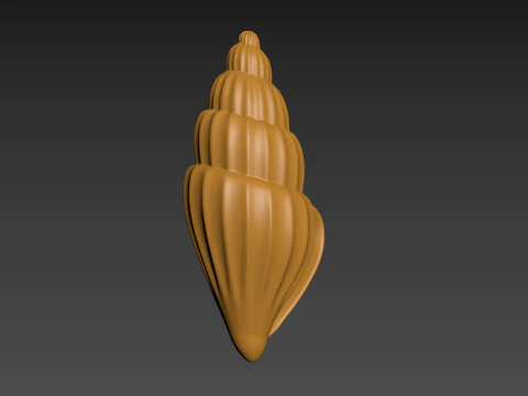Seashell Clam Shell 3D Print Model