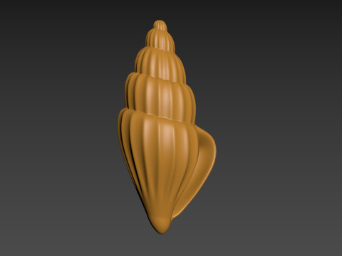 Seashell Clam Shell Modello di stampa 3D