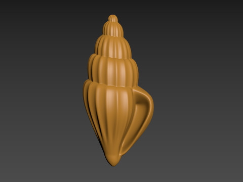 Seashell Clam Shell Modello di stampa 3D