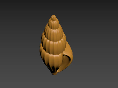 Seashell Clam Shell 3D Print Model