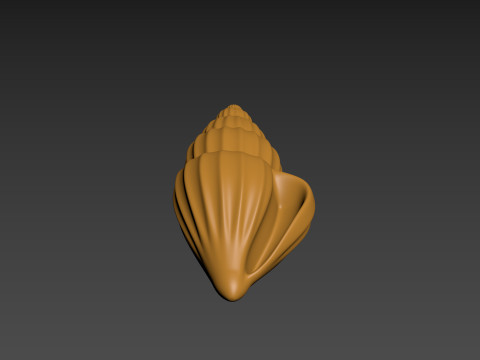 Seashell Clam Shell Modello di stampa 3D