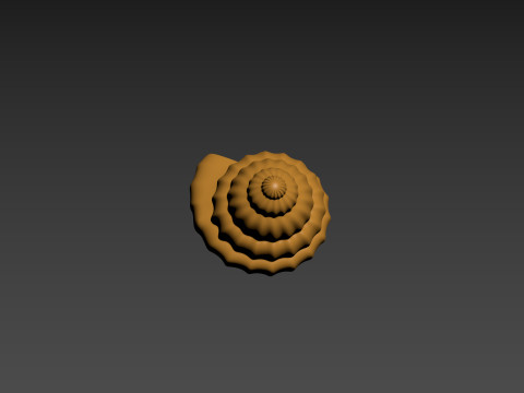 Seashell Clam Shell Modello di stampa 3D