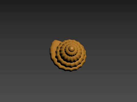 Seashell Clam Shell 3D Print Model
