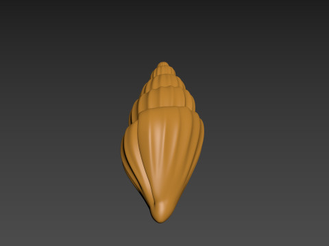 Seashell Clam Shell Modello di stampa 3D