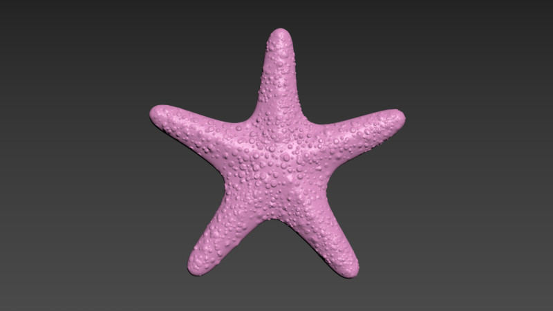 Starfish Sea Star Modello di stampa 3D .c4d .max .obj .3ds .fbx .stl .blend 