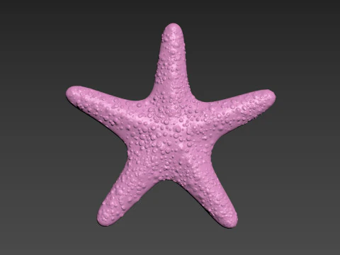 estrella de mar estrella de mar Modelo de impresión 3D