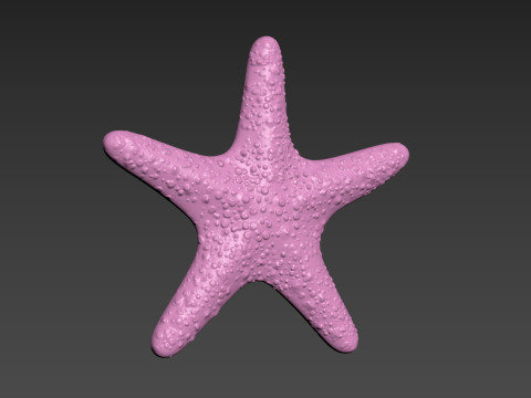 Starfish Sea Star Modello di stampa 3D