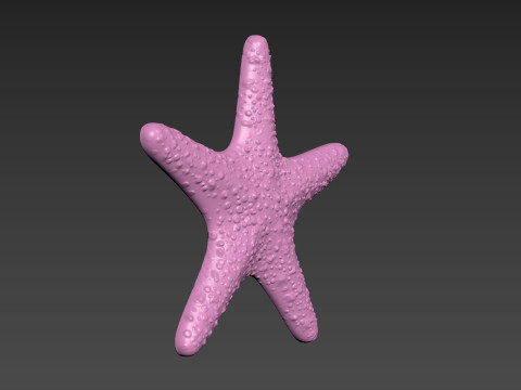 Starfish Sea Star Modello di stampa 3D