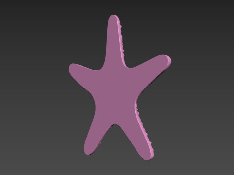 Starfish Sea Star Modello di stampa 3D