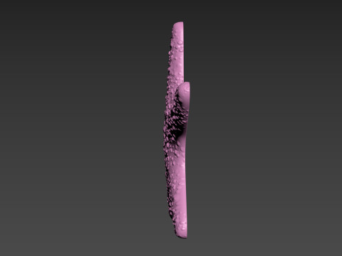 Starfish Sea Star Modello di stampa 3D