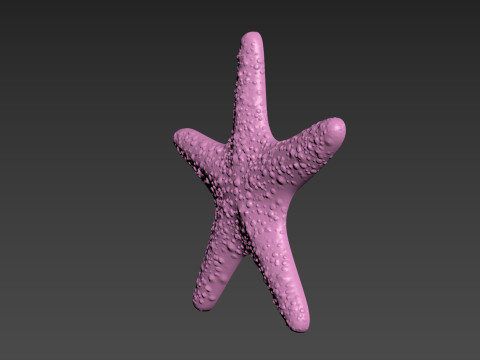 Starfish Sea Star Modello di stampa 3D