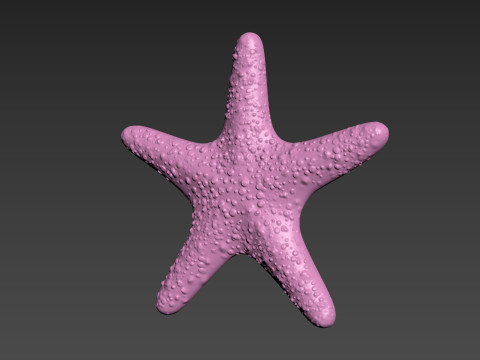 Starfish Sea Star Modello di stampa 3D