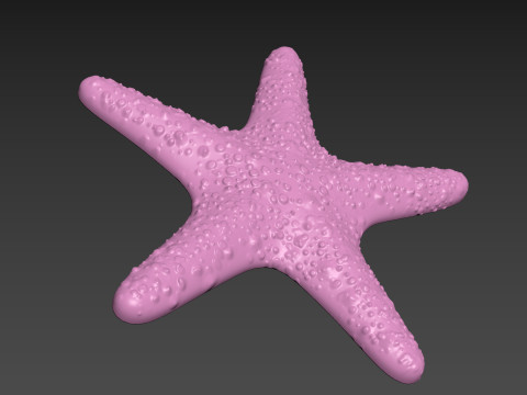 Starfish Sea Star Modello di stampa 3D