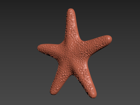 Starfish Echinoderm Sea Star 3D 프린트 모델