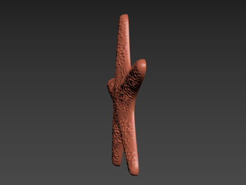 Starfish Echinoderm Sea Star 3D 프린트 모델