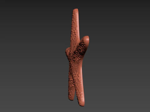 Starfish Echinoderm Sea Star 3D Print Model