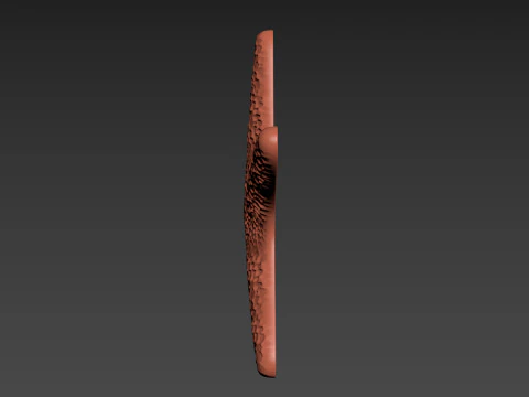Starfish Echinoderm Sea Star 3D Print Model