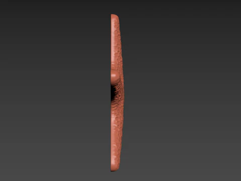 Starfish Echinoderm Sea Star 3D Print Model