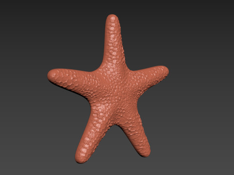 Starfish Echinoderm Sea Star 3D 프린트 모델