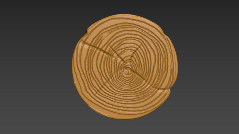Wood Slice Stump Cut trunk Tree cross-section 3D-Druckmodell .c4d .max .obj .3ds .fbx .stl .blend