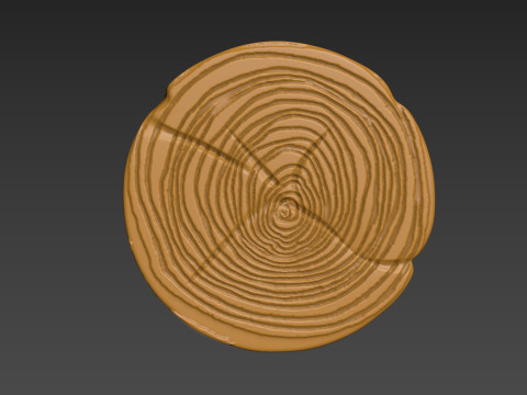 Wood Slice Stump Cut trunk Tree cross-section 3D Принт Модель