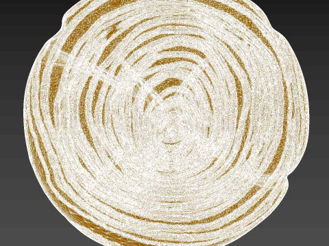 Wood Slice Stump Cut trunk Tree cross-section 3D Print Model