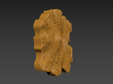 Stump Wood slice Relief Modello di stampa 3D