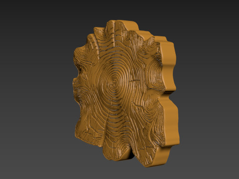 Stump Wood slice Relief Modello di stampa 3D