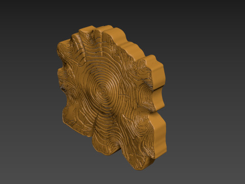 Stump Wood slice Relief Modello di stampa 3D