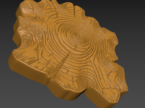 Stump Wood slice Relief Modello di stampa 3D