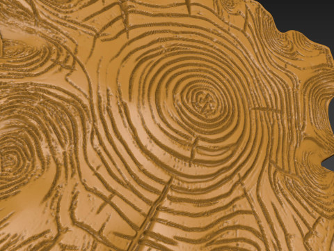 Stump Wood slice Relief Modello di stampa 3D