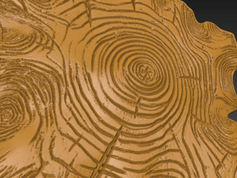 Stump Wood slice Relief 3D Print Model