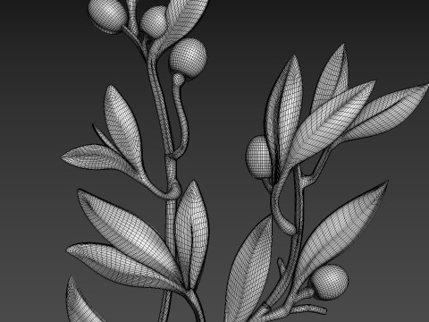 Olive Branch Relief 3D Model