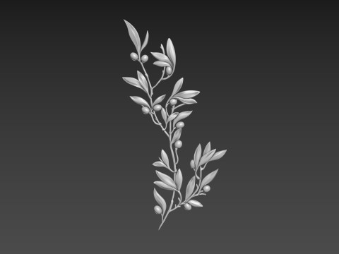 Olive Branch 3D Model