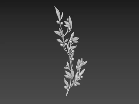 Оливковая ветвь 3D Модель