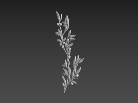 Olive Branch Modèle 3D