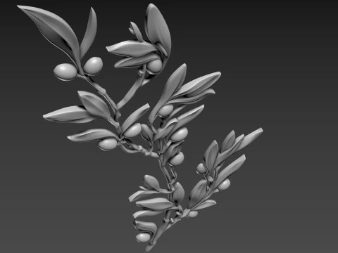 Оливковая ветвь 3D Модель