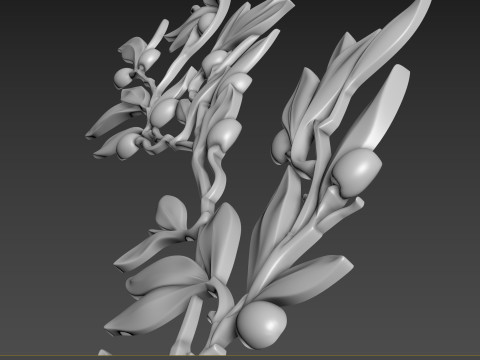 Olive Branch Modèle 3D
