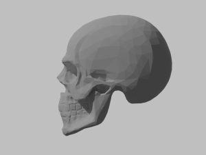 How poly skull 3D Model