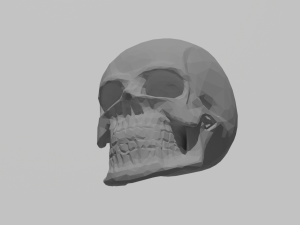 How poly skull 3D Model