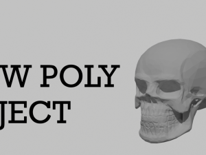 How poly skull 3D Model