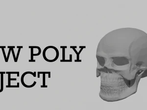 How poly skull 3D Model