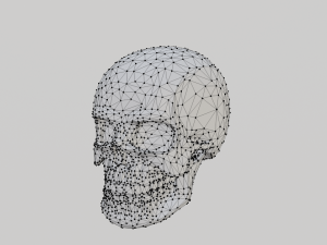 How poly skull 3D Model