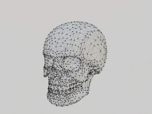 How poly skull 3D Model